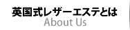 レザーエステとは