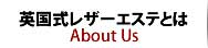 レザーエステとは